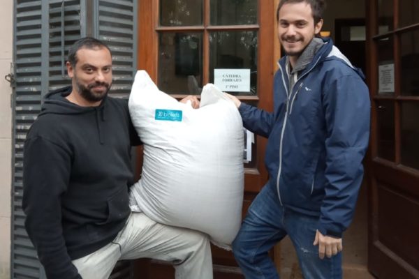 Semillas de forrajeras Bioleft para la agroecología