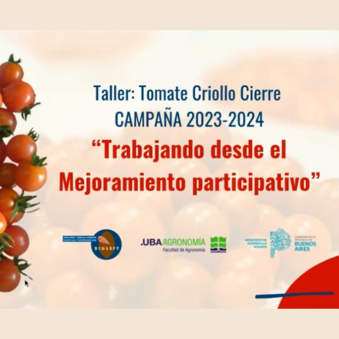 Cierre Tomate Criollo. Campaña 2023 – 2024. “Trabajando desde el mejoramiento participativo”